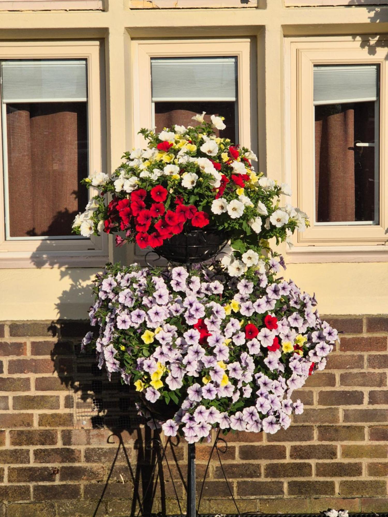 Dorset Arms Hotel Wallsend Exteriör bild