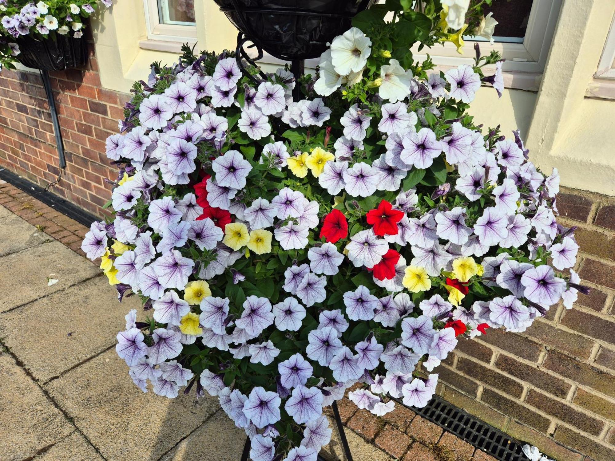 Dorset Arms Hotel Wallsend Exteriör bild