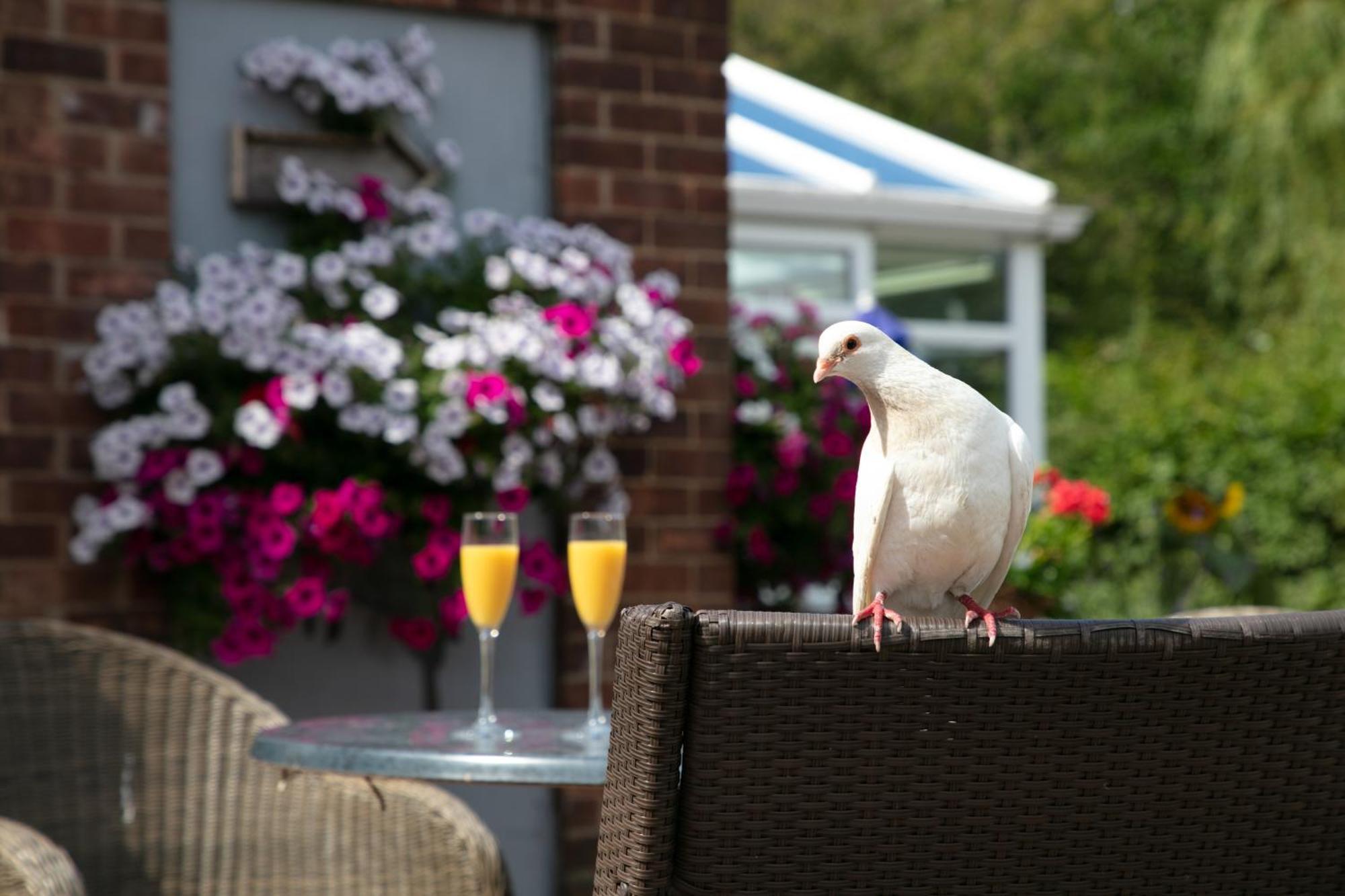 Dorset Arms Hotel Wallsend Exteriör bild